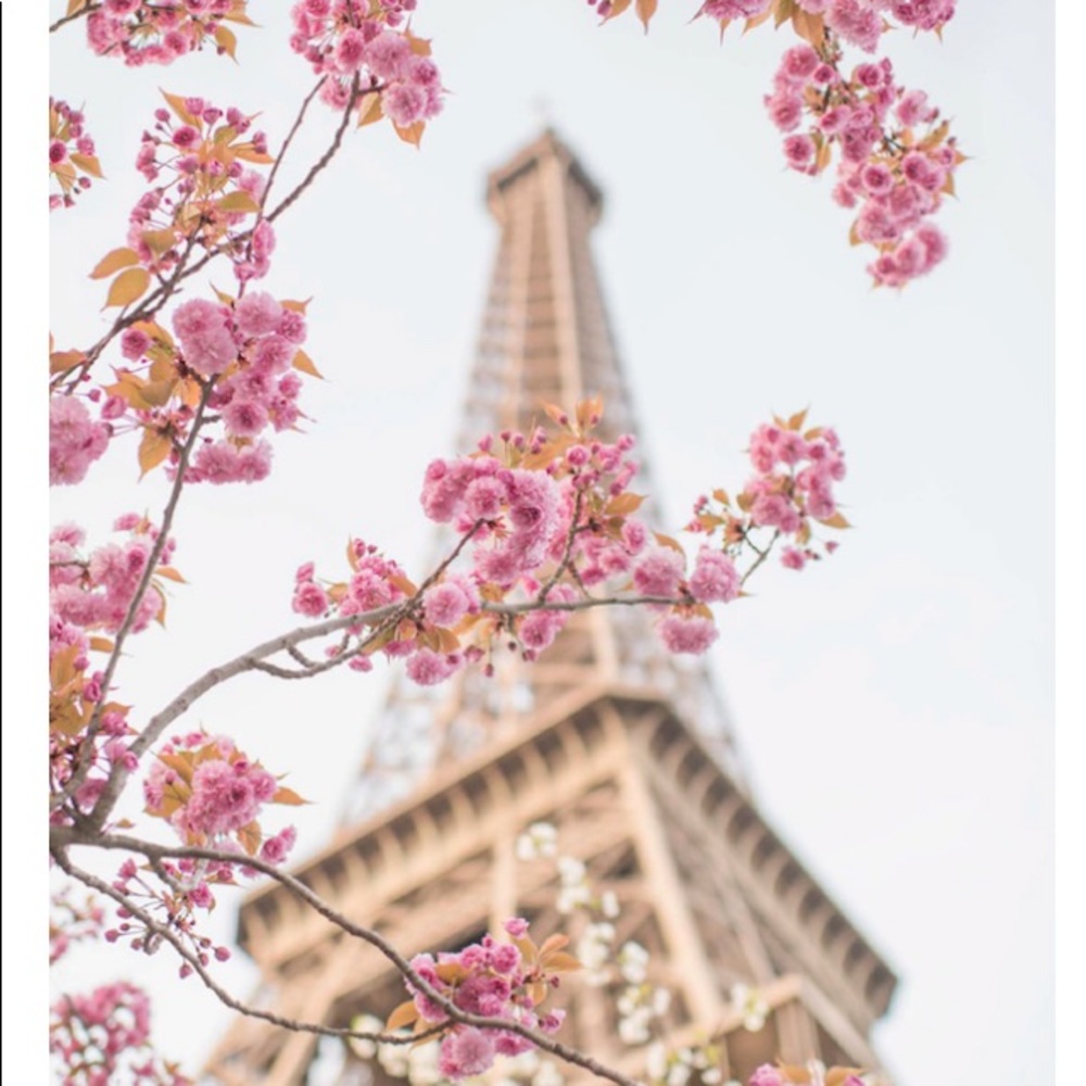 Meet your Posher, Shelly